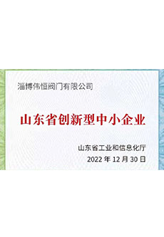 2022年山東省創(chuàng)新型中小企業(yè)